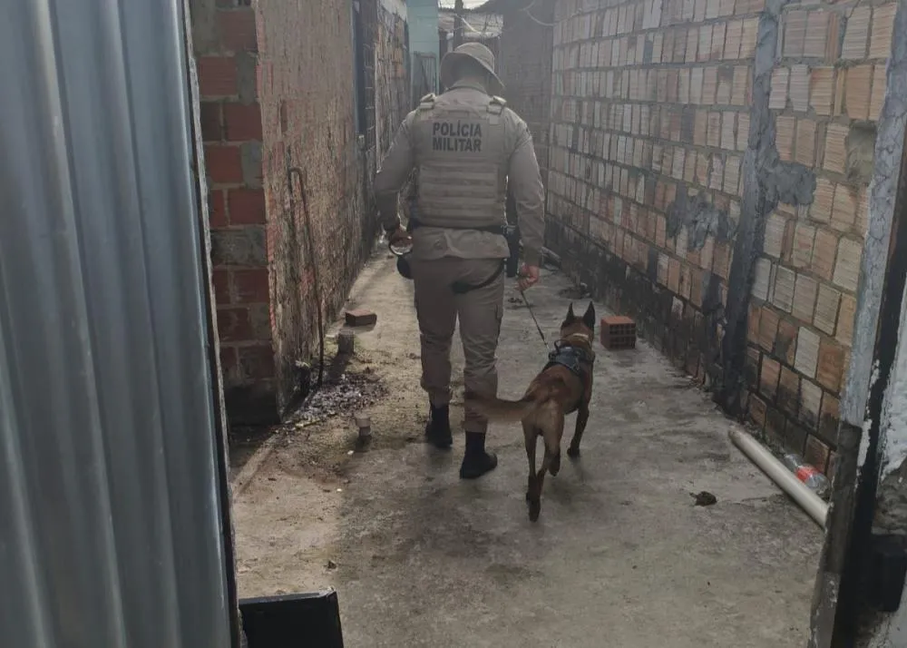 Suspeitos de tentar matar quatro pessoas são presos em Ilhéus